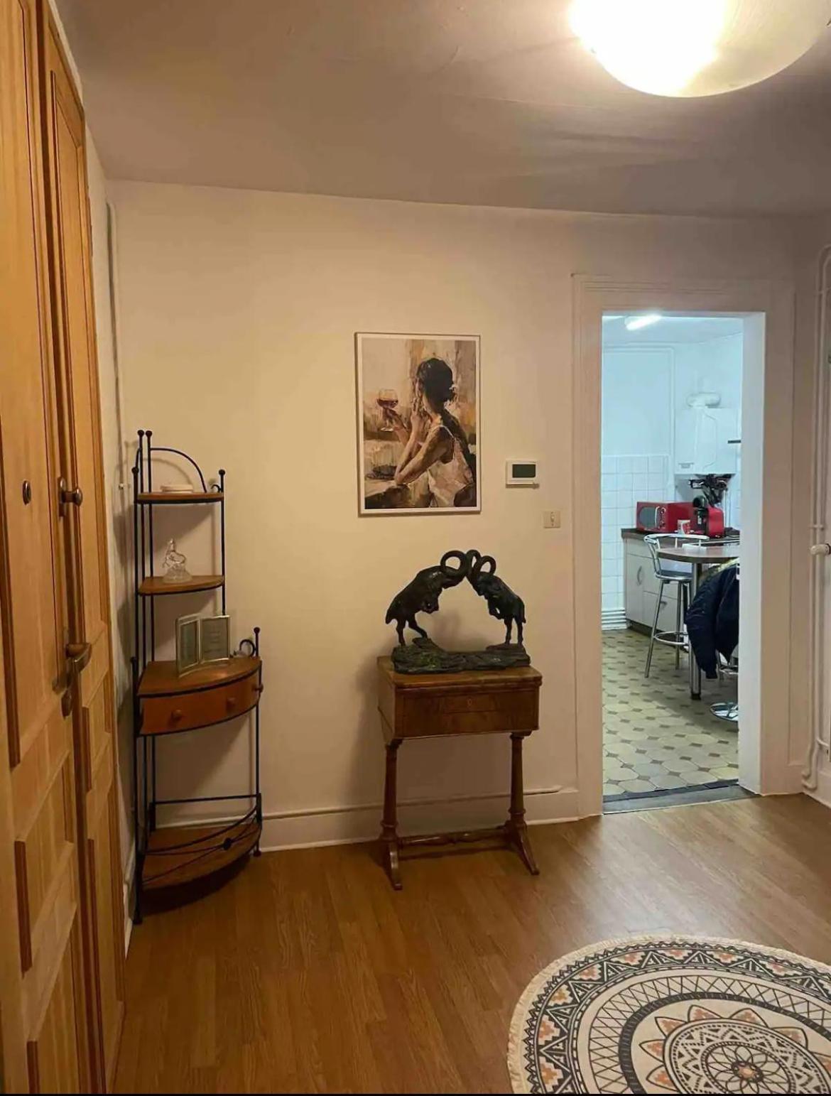 Spacious Apartment City Centre Strasbourg Ngoại thất bức ảnh