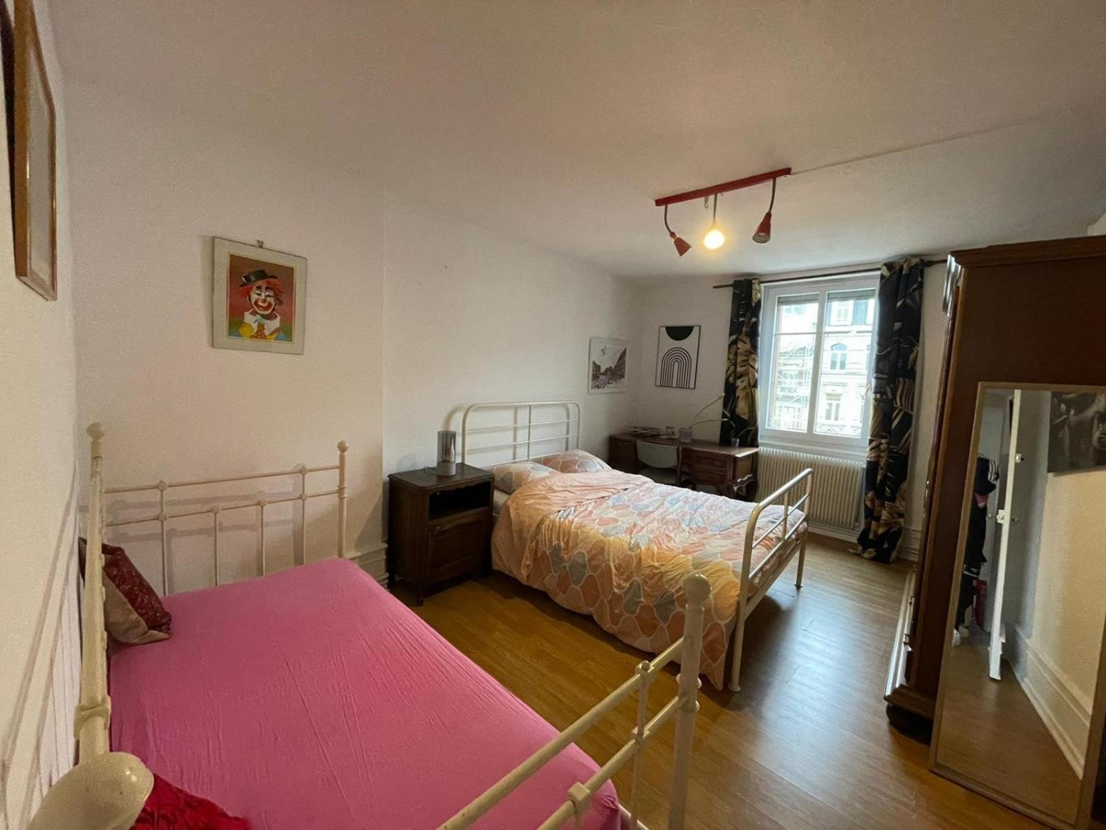 Spacious Apartment City Centre Strasbourg Ngoại thất bức ảnh