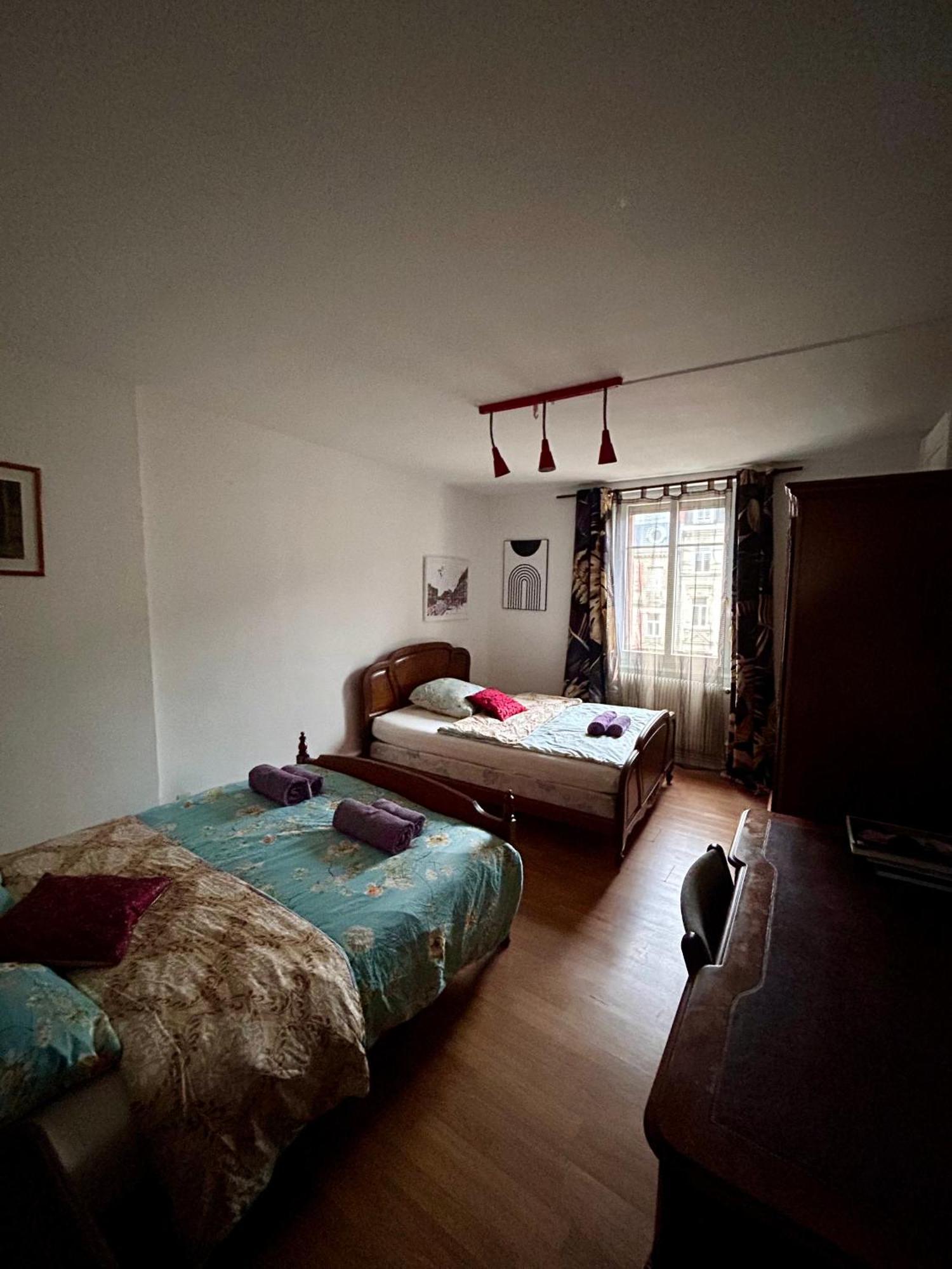 Spacious Apartment City Centre Strasbourg Ngoại thất bức ảnh