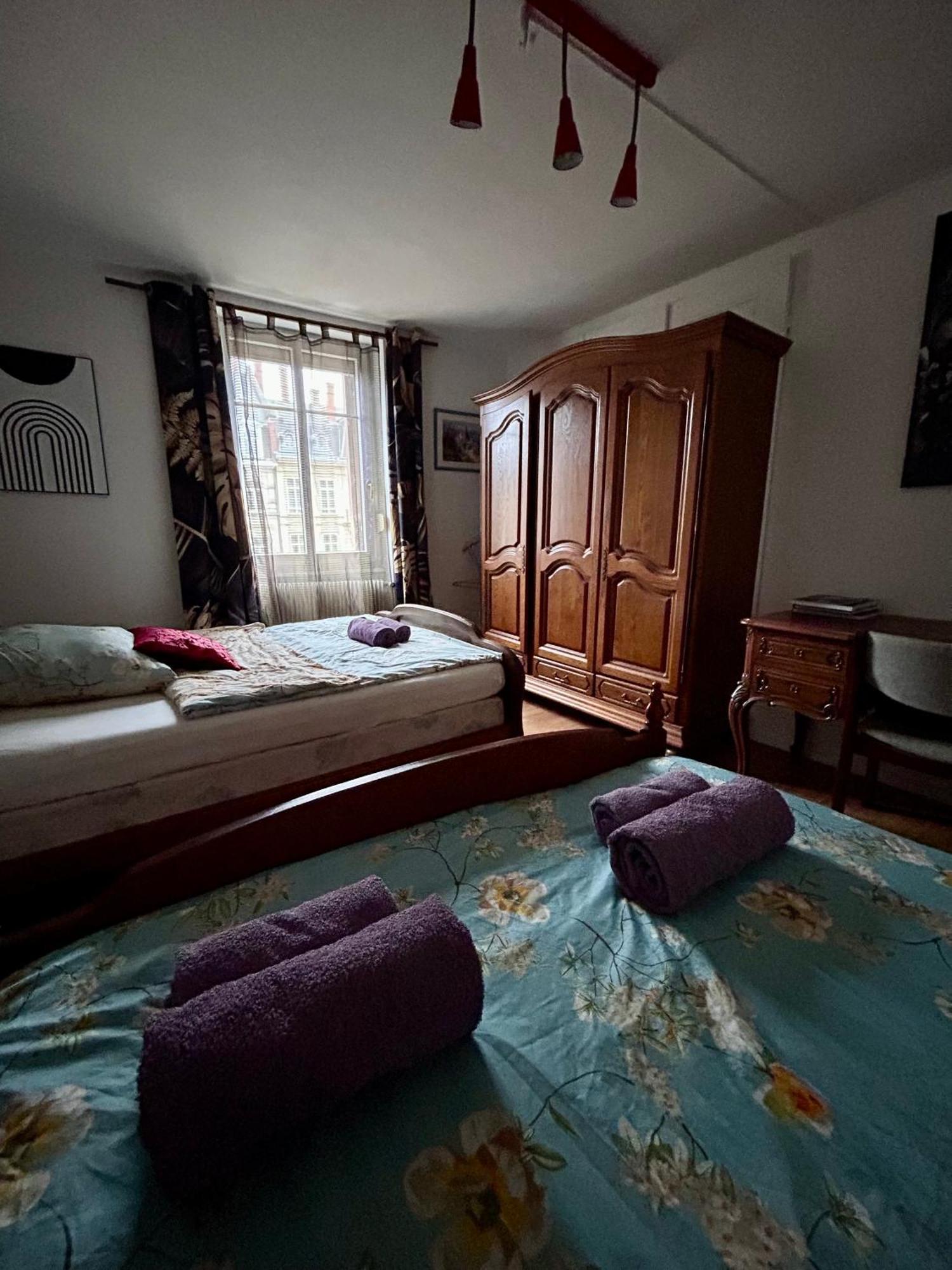 Spacious Apartment City Centre Strasbourg Ngoại thất bức ảnh