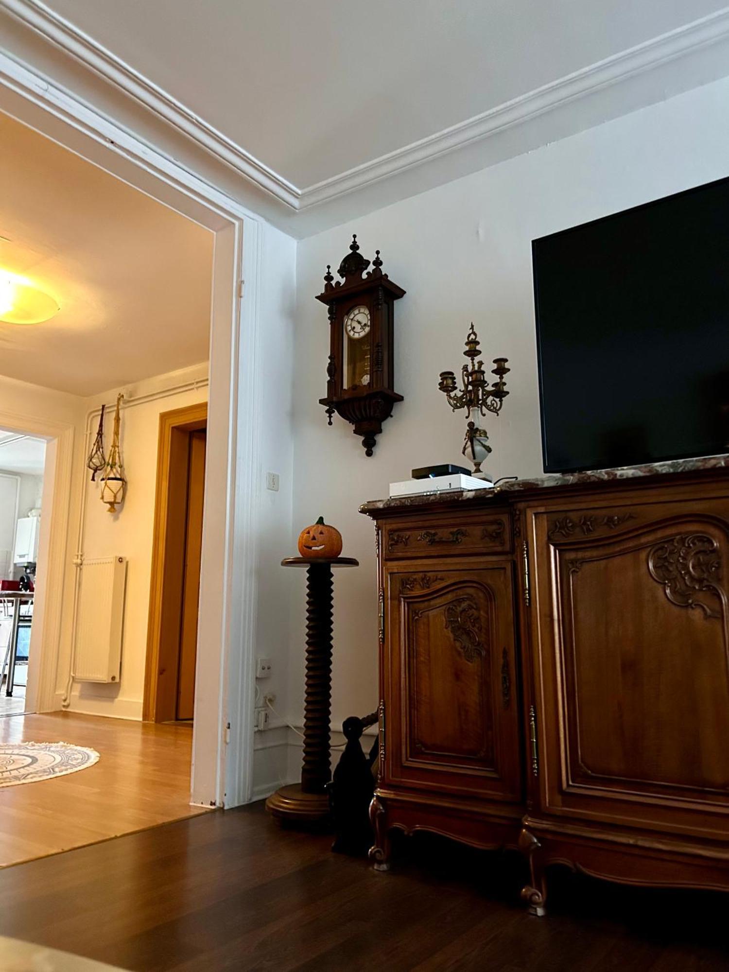 Spacious Apartment City Centre Strasbourg Ngoại thất bức ảnh