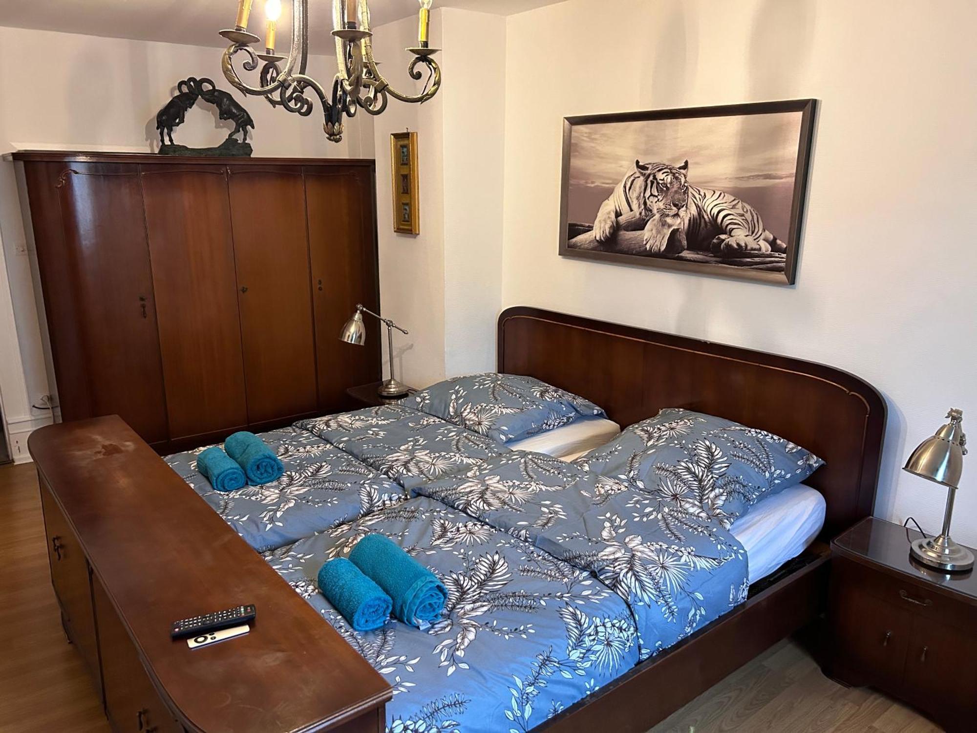 Spacious Apartment City Centre Strasbourg Ngoại thất bức ảnh